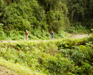 Descenso en Bicicleta por la Carretera de la Muerte. Excursión de 1 día desde La Paz.